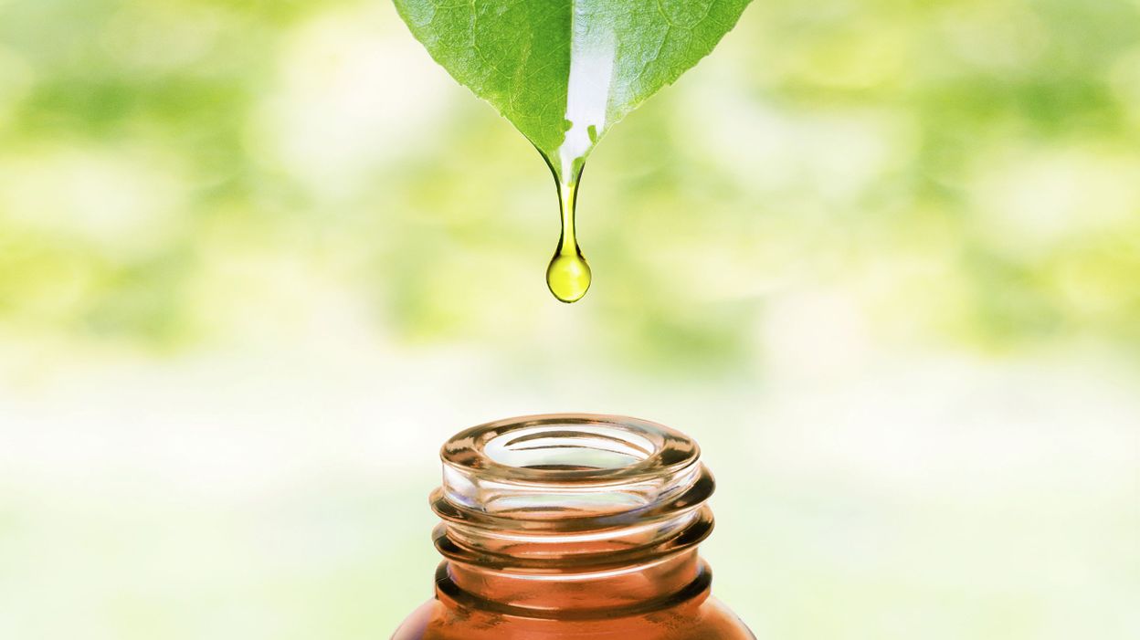 Le polyphénol le plus actif du thé vert, EGCG